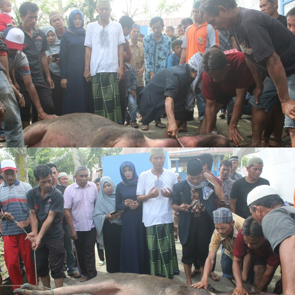 Kapolres Simeulue AKBP Ayi Satria S.I.K, M.Si di dampingi Ny. Cut Ayi Satria Pada Saat Memberikan Hewan Qurban.