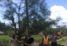 Sambangi Pekerja Bangunan, Kanit Binmas Polsek Alafan Himbaukan Pesan Kamtibmas