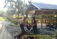 Bhabinkamtibmas Sambangi Petani Panen Sawit, Berikan Himbauan