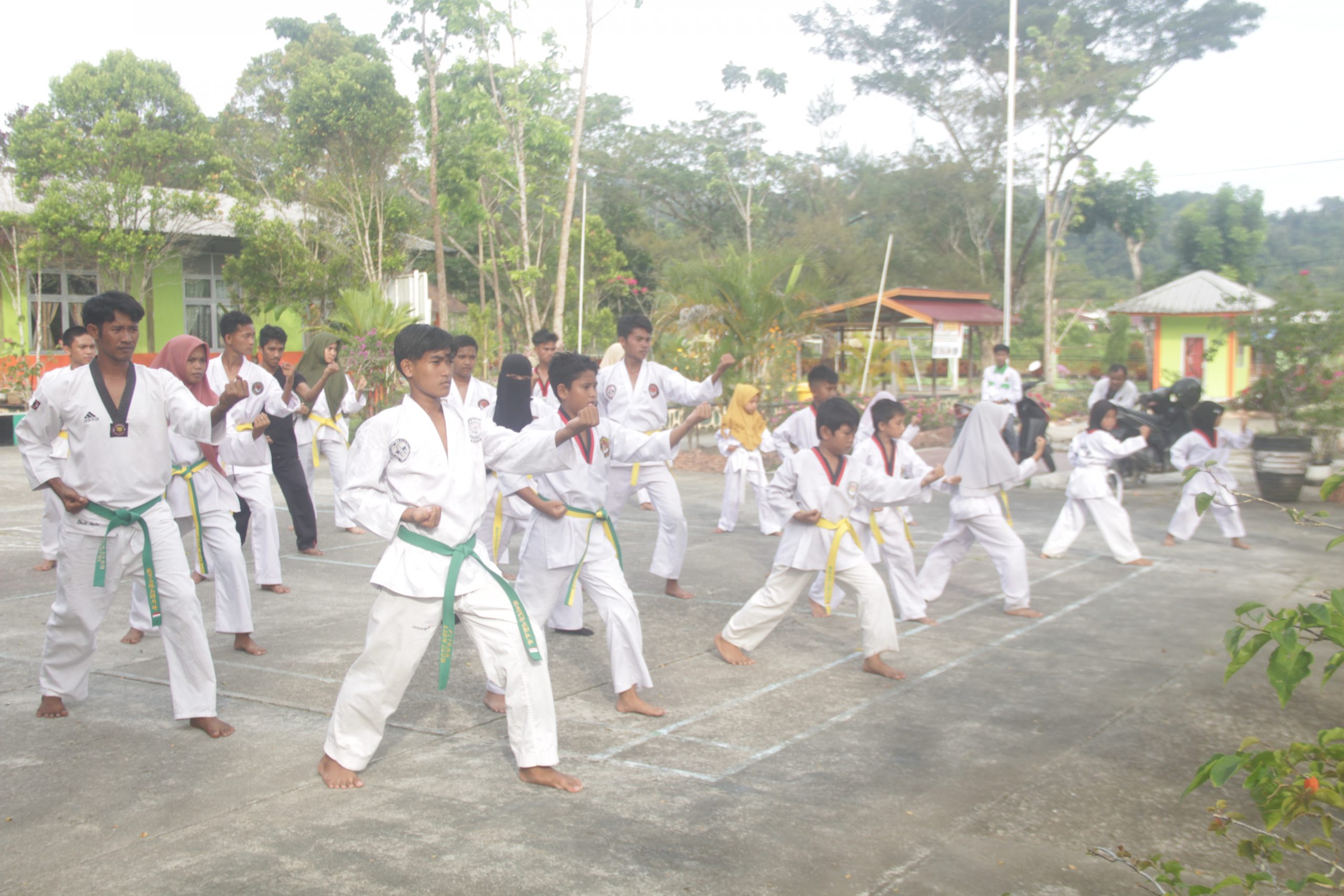 IMG 1318 IMG 1318