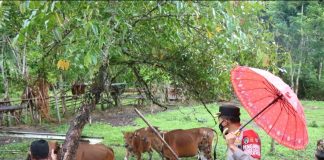 IMG 20220511 WA0195 1