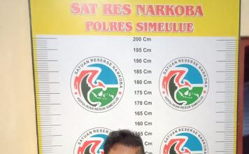 POLSEK SIMEULUE TENGAH MENANGKAP PELAKU TINDAK PIDANA NARKOBA
