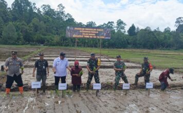 Kapolsek Teupah Selatan Ikuti Penanaman Padi dalam Kegiatan TMMD ke-122 di Desa Labuhan Bakti