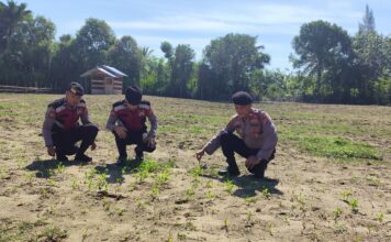 Personel Sat Samapta Polres Simeulue Laksanakan Patroli Perintis Presisi untuk Antisipasi Gangguan Kamtibmas