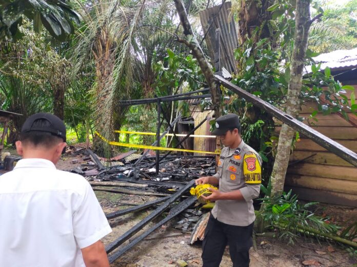 c4cf5b5e-8f5f-4aa5-afff-9a5d262ff528