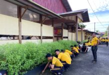 Personel Polres Simeulue Laksanakan Olahraga Bersama dan Kurve, Wujudkan Tubuh Sehat serta Lingkungan Kerja Bersih