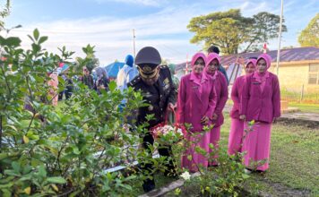 Upacara Tabur Bunga dan Ziarah Makam Pahlawan Semarakkan HUT ke-81 Kemerdekaan RI di Simeulue
