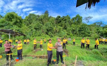 Polres Simeulue Laksanakan Monitoring Penanaman Pohon dalam Rangka Green Policing